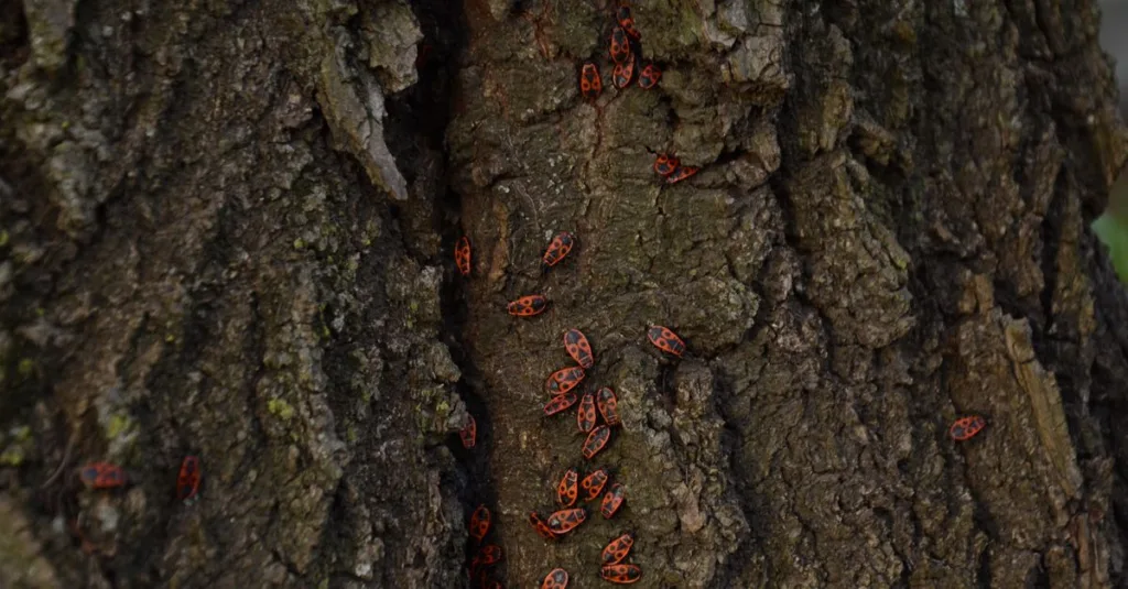 découvrez notre refuge à insectes, un habitat naturel idéal pour favoriser la biodiversité et protéger les insectes bénéfiques dans votre jardin.