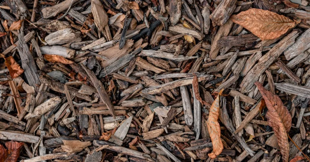 découvrez comment le compost de feuilles améliore la fertilité du sol naturellement en transformant les feuilles mortes en un engrais riche et écologique.