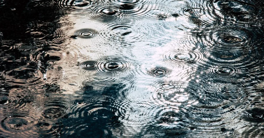 découvrez tout sur la collecte, le stockage et l'utilisation de l'eau de pluie pour une gestion durable et économique des ressources en eau.