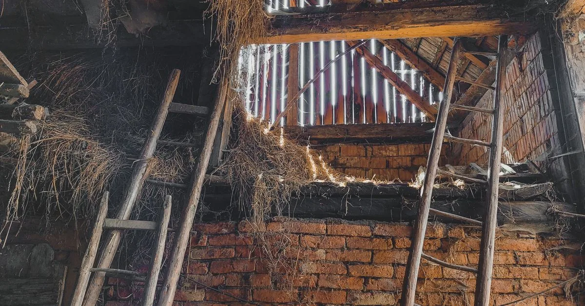découvrez les risques liés à l'isolation de toiture et comment les éviter pour assurer la sécurité et l'efficacité énergétique de votre habitation.