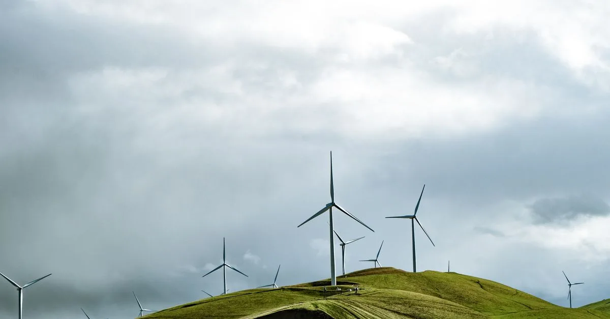 découvrez comment adopter des pratiques durables pour préserver l'environnement et promouvoir un avenir responsable grâce à nos conseils et solutions en matière de sustainability.