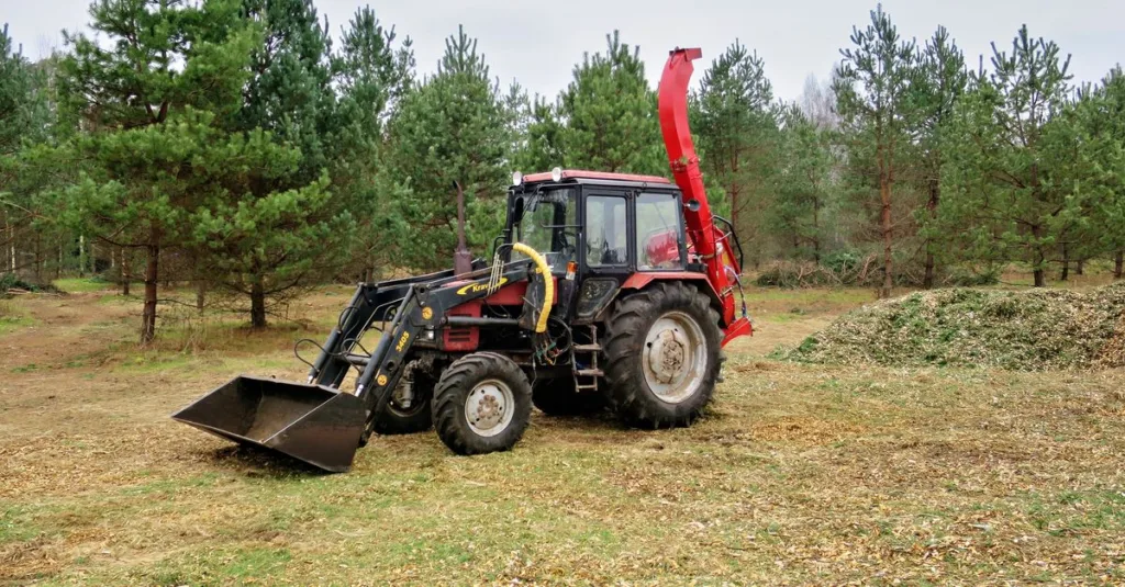découvrez les avantages du paillage avec des copeaux de bois pour protéger, nourrir et embellir vos plantations tout en limitant les mauvaises herbes.